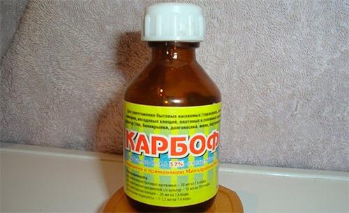 Карбофокс стоит на столе Карбофокс