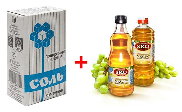 Смесь из соли и винного уксуса