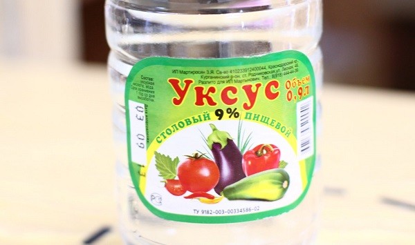Избавляемся от клопов при помощи уксуса Уксус